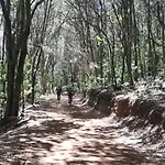 La Gustoza * El Sauzal