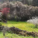 La Gustoza * El Sauzal