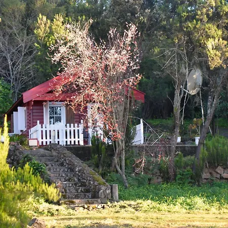 La Gustoza Sauzal