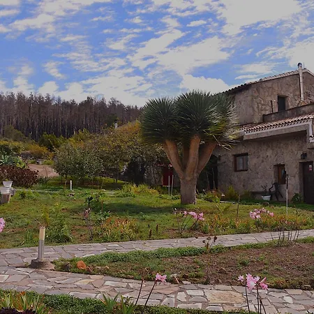 La Gustoza * Саусаль