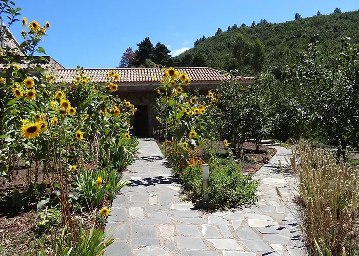 La Gustoza * ساوزال