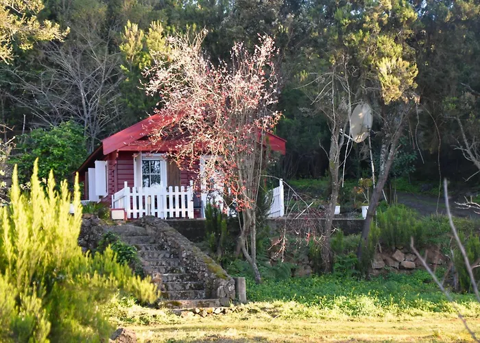 La Gustoza ساوزال