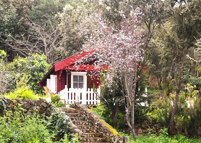 La Gustoza ساوزال