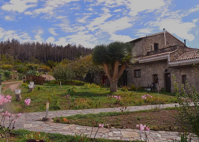 La Gustoza * ساوزال