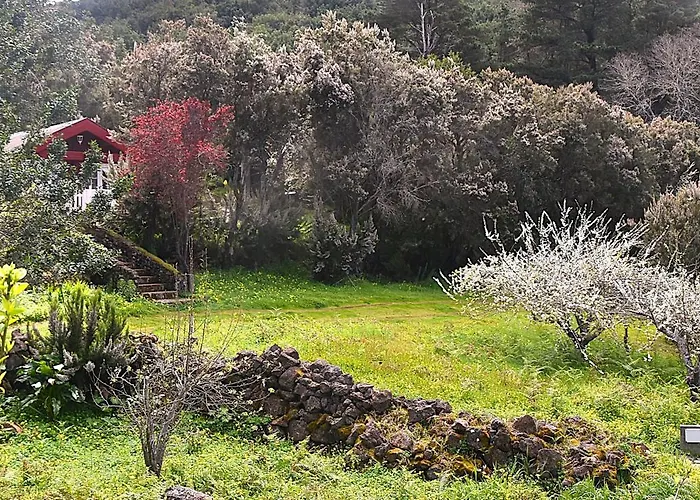 La Gustoza * ساوزال