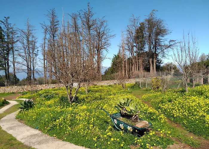 La Gustoza ساوزال