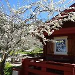 La Gustoza Kır Evi El Sauzal