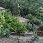 La Gustoza * El Sauzal