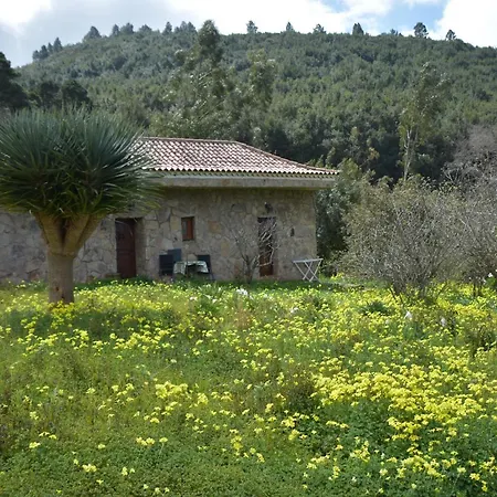 La Gustoza * El Sauzal