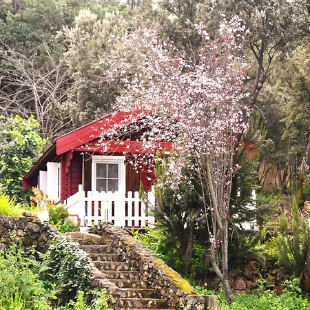 La Gustoza サウサル