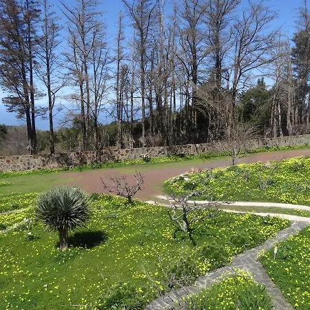 La Gustoza Country house Sauzal