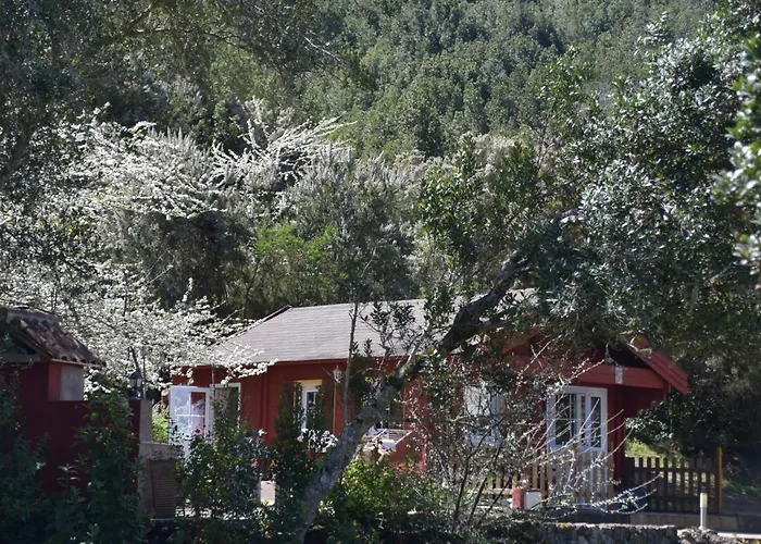 La Gustoza Country house *