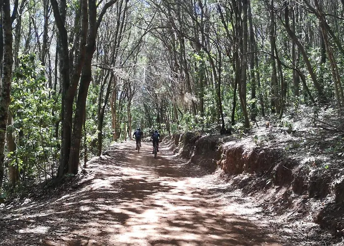 La Gustoza * サウサル