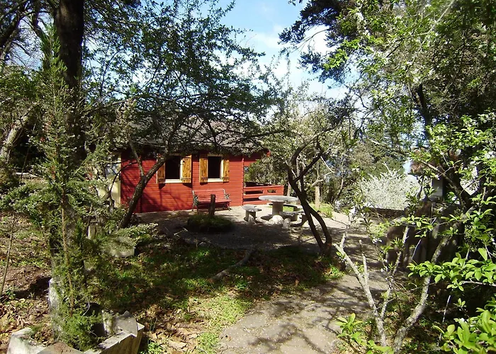 La Gustoza Country house Sauzal