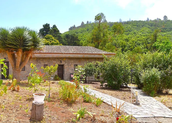 La Gustoza Country house Sauzal
