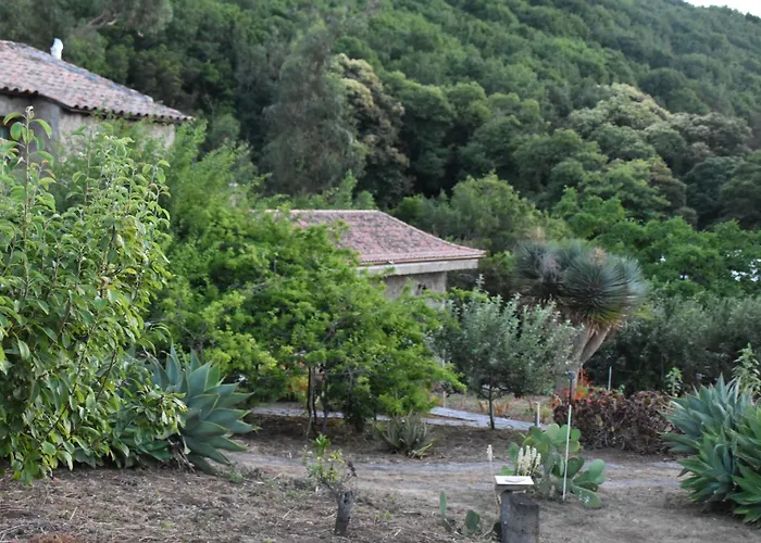 La Gustoza * サウサル