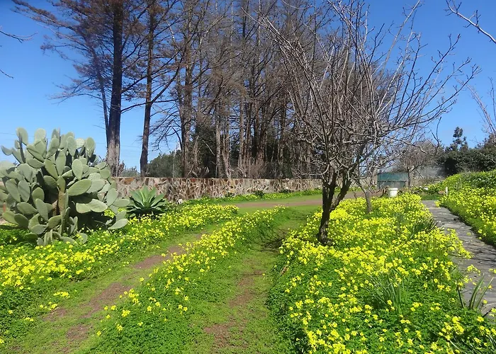 La Gustoza * サウサル