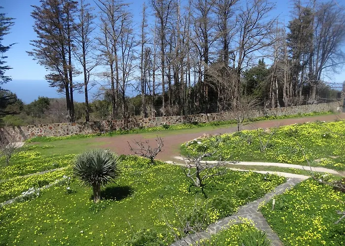 La Gustoza Country house Sauzal