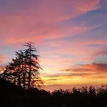 La Gustoza *