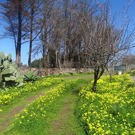 La Gustoza * 사우살